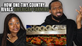 🇳🇱 American Couple Reacts ""How One Tiny Country Rivals American Farming