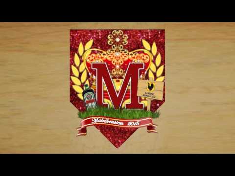 AMARAL 2015 - ARMINOVA feat Apus