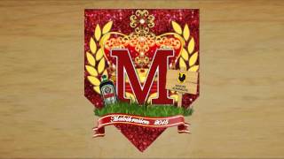 AMARAL 2015 - ARMINOVA feat Apus