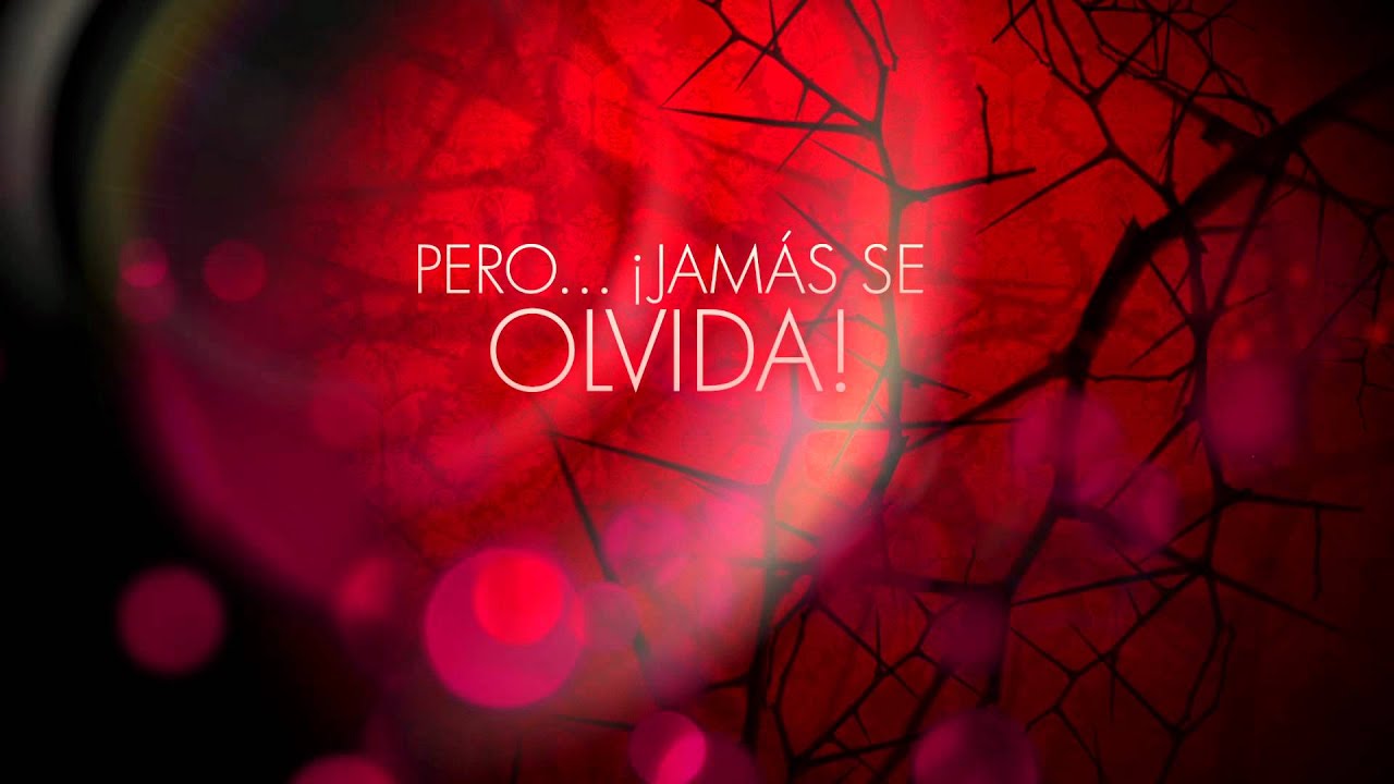 Trailer Luz, Arrolladora.