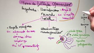Fisiologia - Sistema Renal
