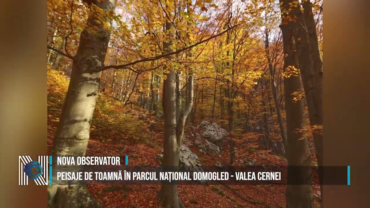 Peisaje de toamnă în Parcul Național Domogled-Valea Cernei