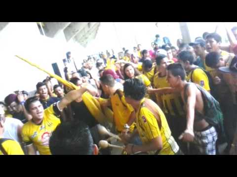 "Vamos guerreros" Barra: Tribu Guerrera &bull; Club: Trujillanos &bull; País: Venezuela