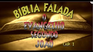 Evangelho de Joo Cap 1 completo  No princpio era o Verbo e o Verbo estava com Deus  Bblia Falada