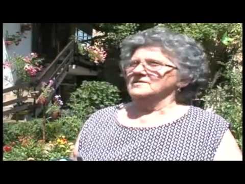 KVECE U OBISCU SIVČOVIH - Avtor Helena KORPAŠ