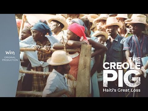 The Creole Pig: Haiti's Great Loss - A WLRN Original Production