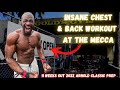 COMPLETE CHEST AND BACK WORKOUT | BUILDING A PRO MEN'S PHYSIQUE AT THE MECCA VLOGMAS DAY 10