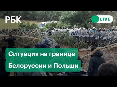 Как выглядит лагерь мигрантов на границе Белоруссии и Польши. Трансляция
