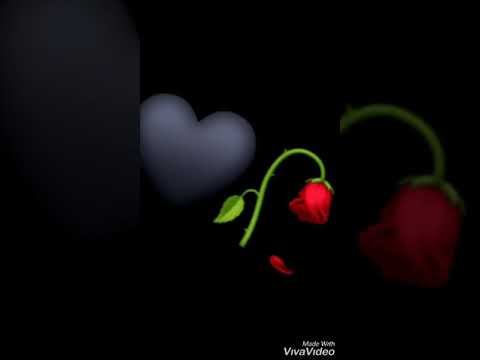 Rajmi 2019 Szerelem forrón de jegesen