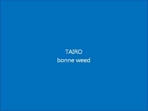 TAIRO bonne weed