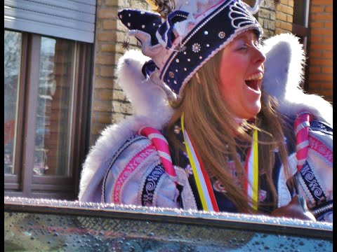 Aalst Carnaval 2012 - Film 84e stoet