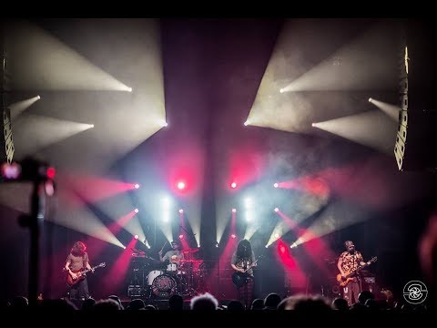 Pigeons Playing Ping Pong: "Pigs (Three Different Ones) ~ Poseidon" - 3/10/18 - Denver, CO