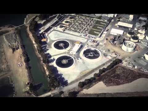 YouTube thumbnail for 'Plant Tour'