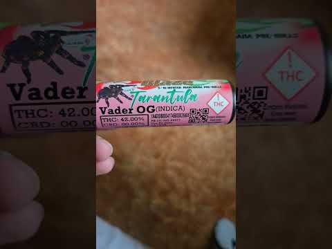 Cali Blaze 3pk preroll Vader OG #Colorado #strainreviews #topshelf #thebuzzdispensary