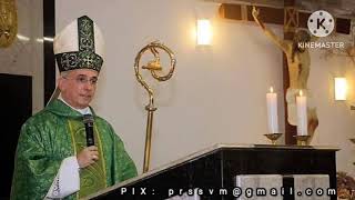 27º DOMINGO DO TEMPO COMUM - Dom Henrique Soares