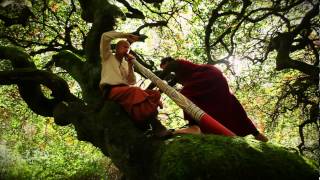 YAKCH'e / If I Was a Tree