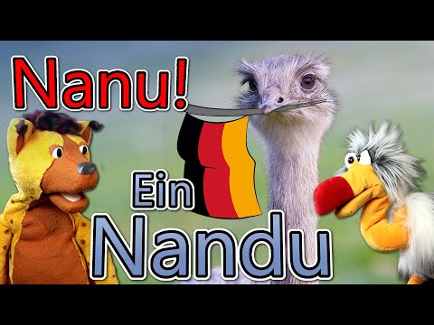 Deutschlands neuer größter Vogel | Weiß der Geier!