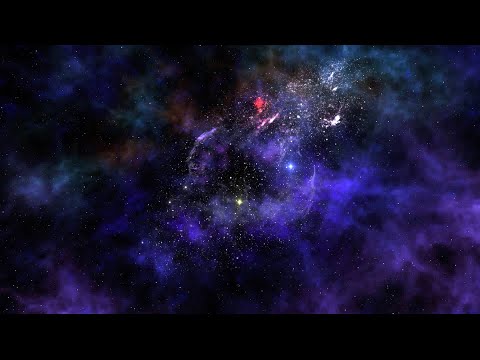 Lavender tea and Baking