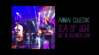 Animal Collective - Sea of Light (New Song 2018)
