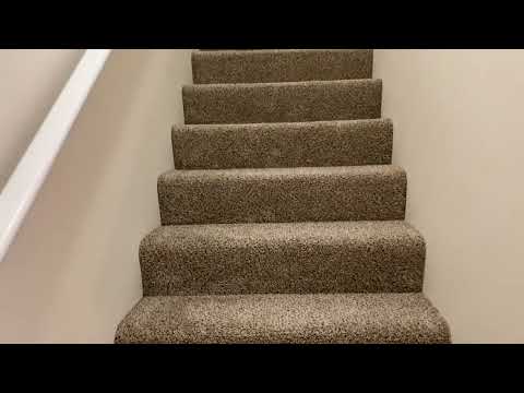 The Alice - Video 2 of 2