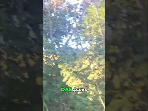 Cambuí MG: O Vale do Sonho, um refúgio de natureza e paz nas alturas.