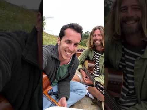 Roaman - The Government would never lie |  Covid NineTune #4