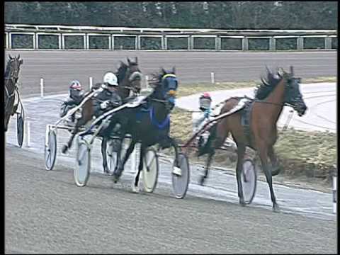 Trotto 17/01/2017 - 1ª corsa