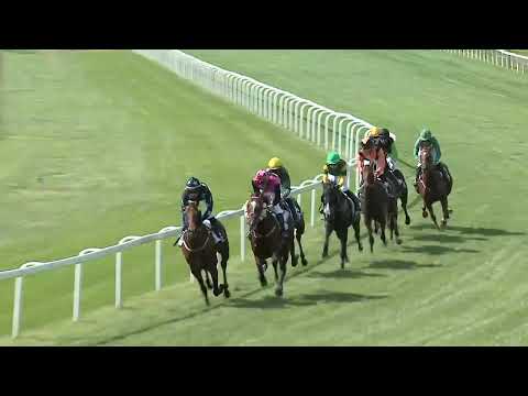 2023.09.02. 3. Futam-KINCSEM+TUTI–KOVÁCS MIHÁLY EMLÉKVERSENY- MAGYAR HÁROMÉVESEK NAGYDÍJA (HUN Gd-2)