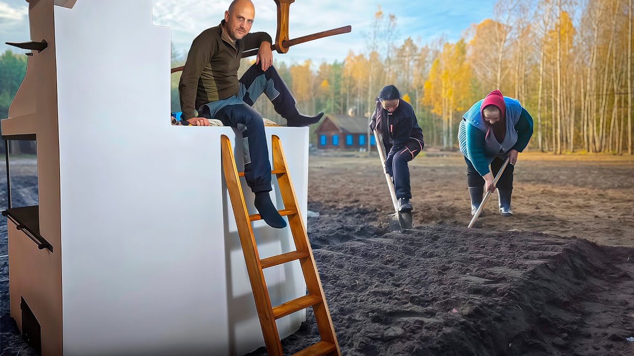 Воры проветрили дом, мы реставрируем его и наполняем жизнью. Грибы в ноябре. ?