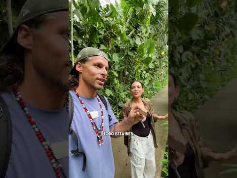 Exclusive lodge in Delta Amacuro, deep into the jungle in Venezuela! #travel #venezuela