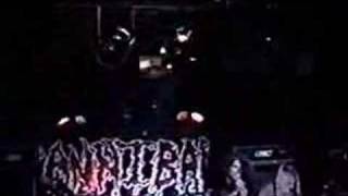 Cannibal Corpse - Starring Trough The Eyes of The Dead 1994