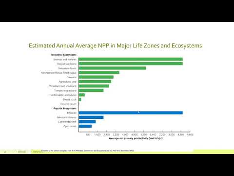 APES Unit 1.8: Primary Productivity