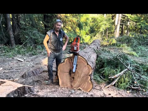 Big Logs ..Small Chainsaws, Ways to cut