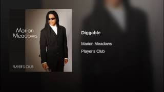 Marion meadows - Diggable