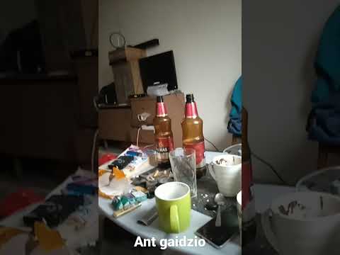 ant gaidzio