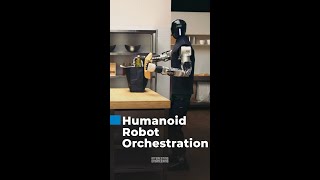 Robots with connected brains