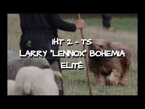 IHT2 TS - CZECH CHAMPIONSHIP & BRIARD CLUB CHAMPIONSHIP IN HERDING 2018