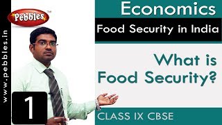 What is Food Security? : Food Security in India | Social | CBSE Syllabus | Class 9