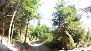 preview picture of video 'Bikepark Geißkopf Flow Country Trail GoPro'