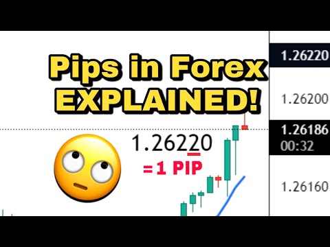 , title : 'What Are Pips In Forex? Quickly EXPLAINED For Beginner Traders📈 #shorts'