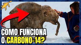 Como CALCULAMOS a IDADE dos FÓSSEIS?