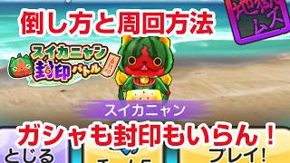 【ぷにぷに攻略】ガシャも封印もいらん！スイカニャンの倒し方 五等分の花嫁コラボ第三弾