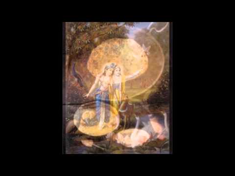 Sadaputa Prabhu - Evolution 3