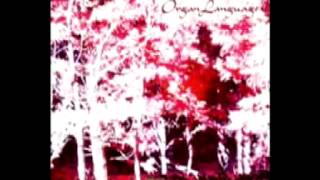 Organ Language/Respiration Of The Forest