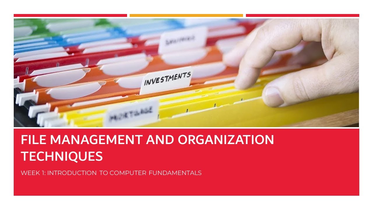 Organizing colorful file folders to illustrate effective file management and organization techniques