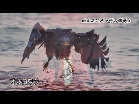 伝えたい六ヶ所の風景②