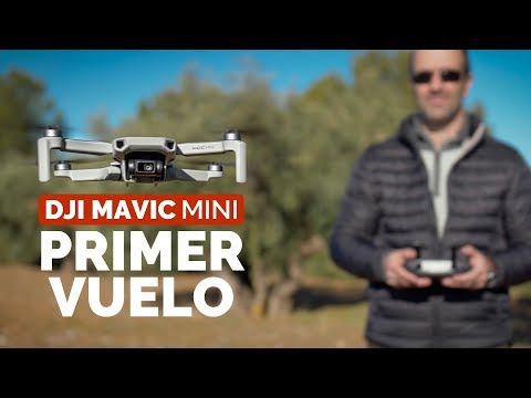 mavic-mini--comparativa-camara-con-mavic-air-y-mavic-2-pro--primer-vuelo
