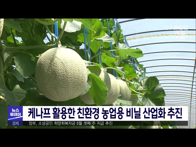 케나프 활용한 친환경 농업용 비닐 산업화 추진