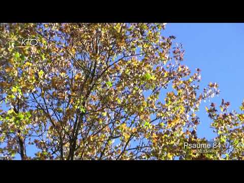 Psalm 84