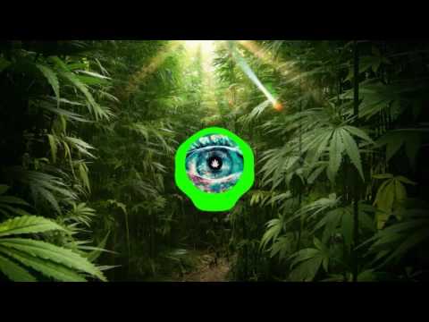 Ivan Spell vs Katniss - Hangin Tree